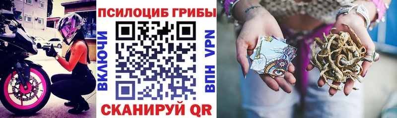 omg ССЫЛКА  Чёрмоз  Псилоцибиновые грибы Psilocybe 